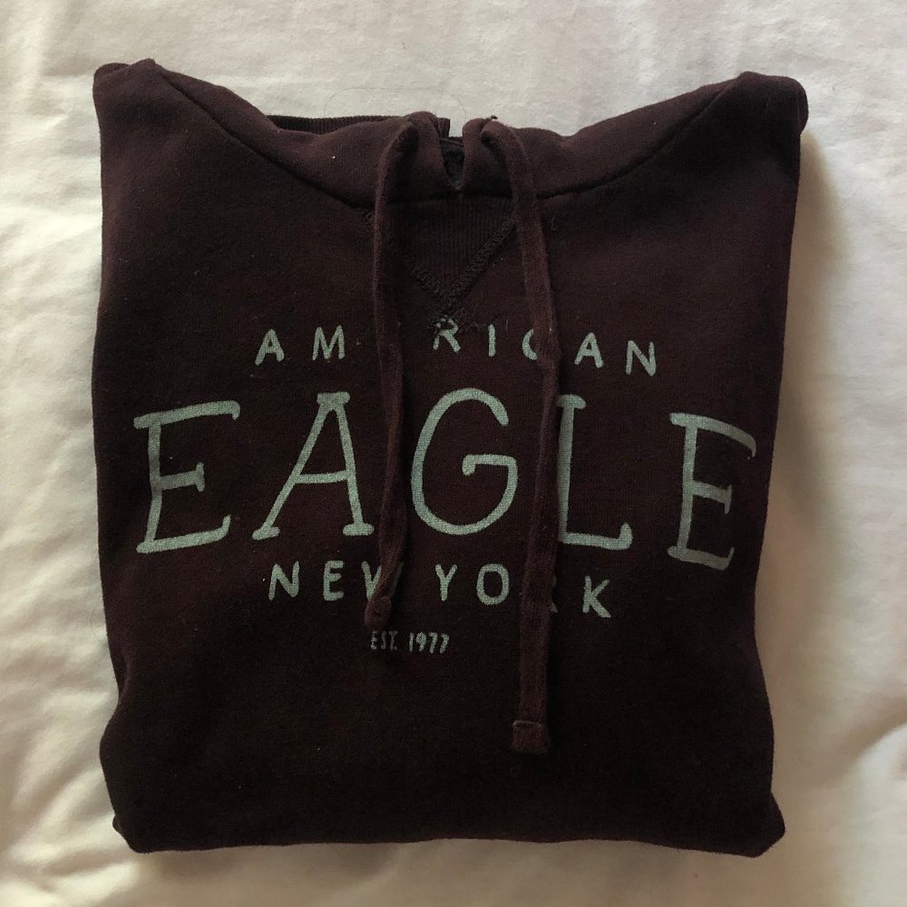 american eagle plum graphic hoodie